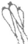 Zelmer 476 - Sucul de morcovi - 1