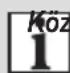 Zelmer SB1001 - Előtét lé kinyeréséhez puha gyümölcsökből és szójából - 6