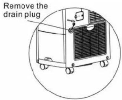 Remove the drain plug