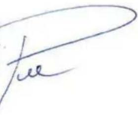 fe
