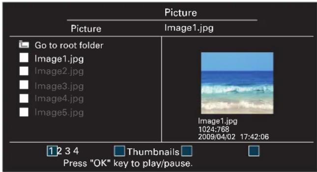 Picture Picture Image1.jpg Go to root folder Image1.jpg Image2.jpg Image3.jpg Image4.jpg Image5.jpg Image1.jpg 1024:768 2009/04/02 17:42:06 1 2 3 4 Thumbnails Press "OK" key to play/pause.