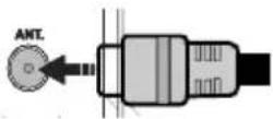 TELEFUNKEN 22TLKSMART - Antena/Cabo ligação - 1
