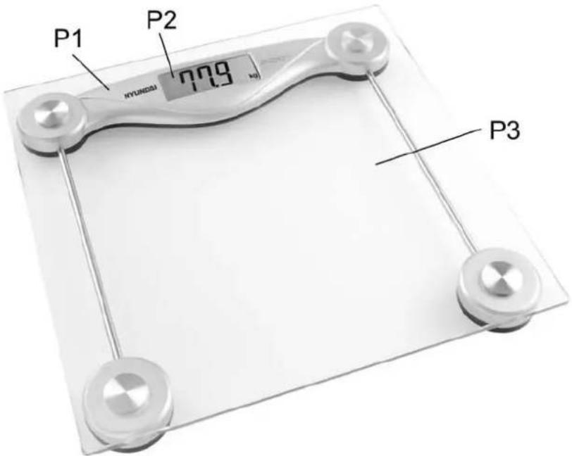 P1 P2 77.9 kg HYUNIKSI P3