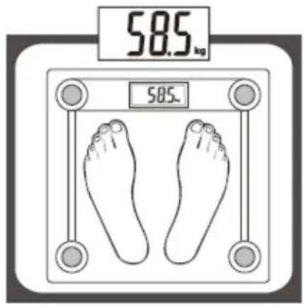 58.5 kg 58.5.