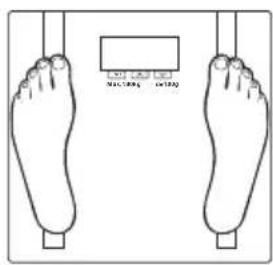 L=2.5 L=1.5 M=1.0 kg (M=1.0)