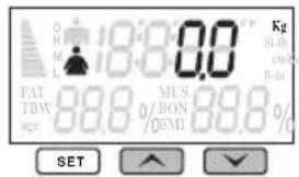 Logik LBSFULL13E - Kehoanalyysimittauksen suorittaminen - 4