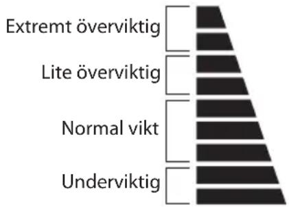 Logik LBSFULL13E - Kroppsanalys - 1