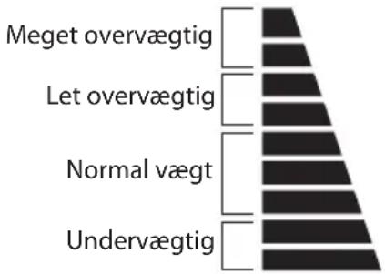 Logik LBSFULL13E - Kropsanalyse - 1
