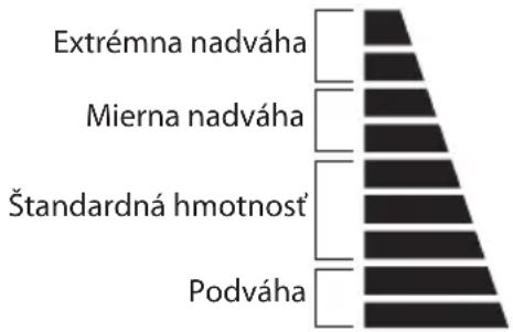 Logik LBSFULL13E - Realizovanie telesného analytického merania - 6