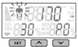 FAT TBW age 830 MUS BON 880 kg Sib cm ft-in SET