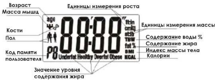 Возраст Масса мышц Кости Пол Код памяти пользователя Единицы измерения роста age 88.8.0" 10in cm/kg stib TBW fat % BMI KCAL Underfat Healthy Overfat Obese Единицы измерения массы Содержание воды % Содержание жира Индекс массы тела Калории Значение уровня содержания жира
