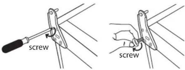 screw screw