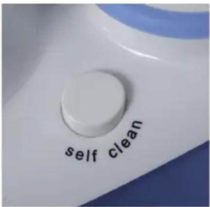self clean