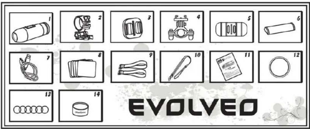 1 2 3 4 5 6 7 8 9 10 11 12 13 14 EVOLVED