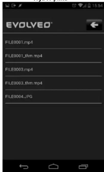 EVOLVED® FILE0001.mp4 FILE0001_thm.mp4 FILE0003.mp4 FILE0003_thm.mp4 FILE0004.JPG