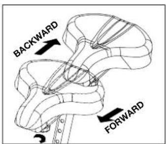 BACKWARD FORWARD