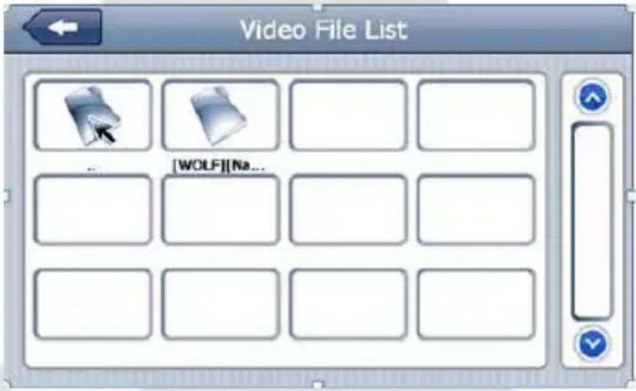 Video File List [WOLF][Na...