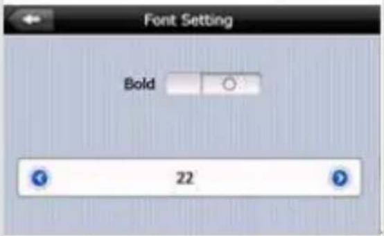 Font Setting Bold 22