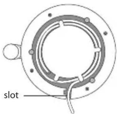 slot