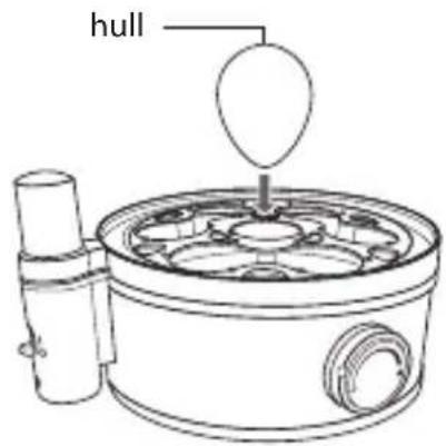 hull