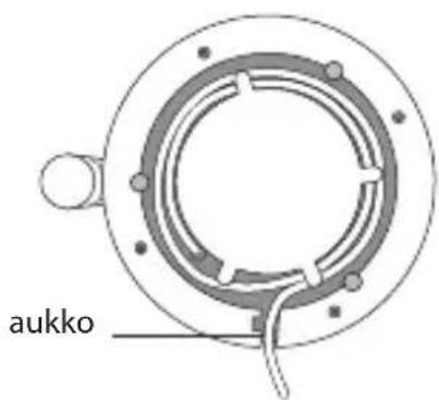 aukko