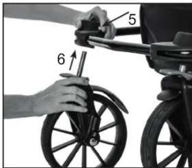 5 6