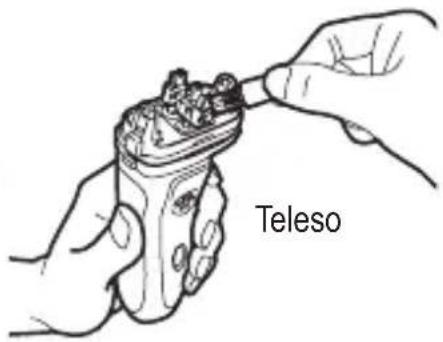 Teleso