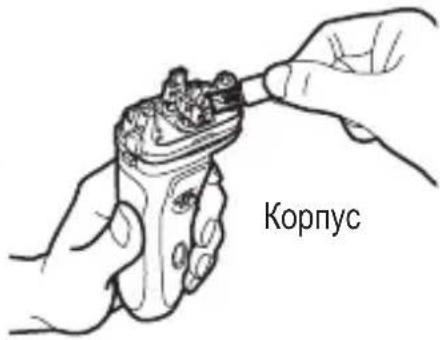 Корпус