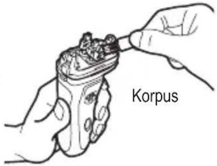 Korpus