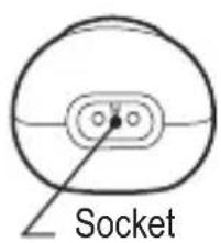 Socket