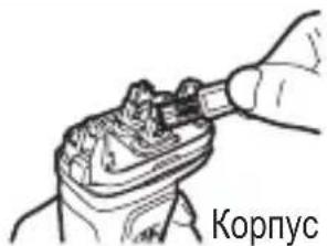 Корпус