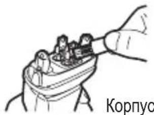 Корпус