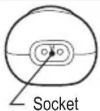 Socket