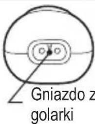 Gniazdo z golarki