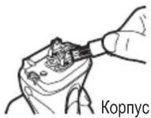 Корпус