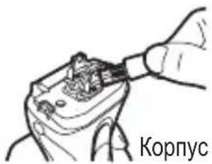 Корпус