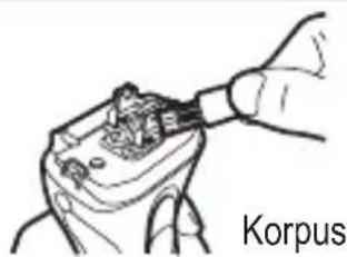 Korpus