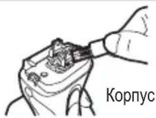 Корпус