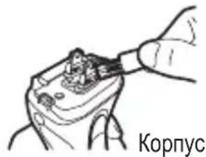 Корпус