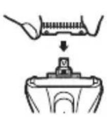 Zelmer SH1110 - CURĂȚARE CU PENSULA - 6