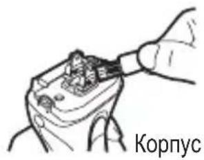 Корпус
