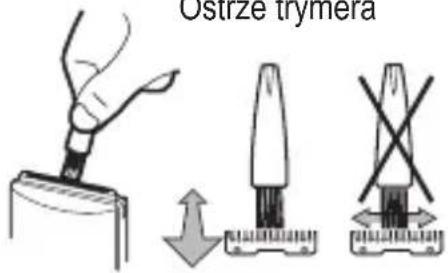 Ostrze trymera