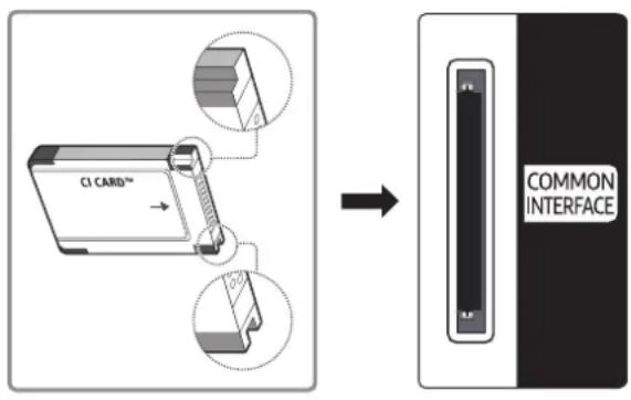 CI CARD™ COMMON INTERFACE
