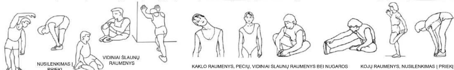 NUSILENKIMAS I PRIEKI VIDINIAI ŠLAUNŲ RAUMENYS KAKLO RAUMENYS, PECIU, VIDINIAI ŠLAUNŲ RAUMENYS BEI NUGAROS KOJŲ RAUMENYS, NUSILENKIMAS I PRIEKI