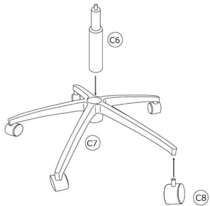 C6 C7 C8
