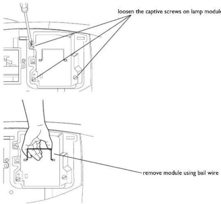 loosen the captive screws on lamp module remove module using bail wire