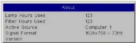 About Lamp Hours Used 123 Filter Hours Used 123 Active Source Computer 1 Signal Format 1024x768 - 72Hz Version