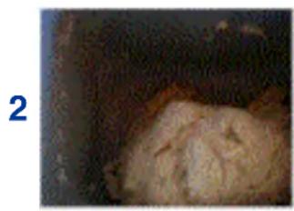 TERMOZETA Fornarina 2 IN 1 76002 - DESCRIPCIÓN - 3
