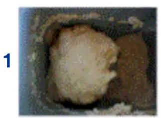 TERMOZETA Fornarina 2 IN 1 76002 - SUGGESTIONS ON PREPARING THE BREAD - 1