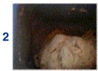 TERMOZETA Fornarina 2 IN 1 76002 - SUGGESTIONS ON PREPARING THE BREAD - 2